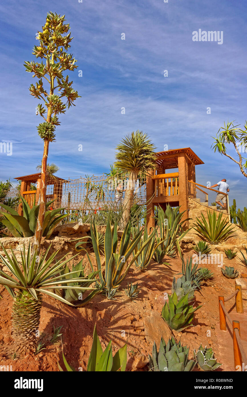 Il giardino dei cactus e funzione passerella aerea a Croco Park, Agadir, Souss-Massa provincia meridionale del Marocco, Nord Africa Occidentale. Foto Stock