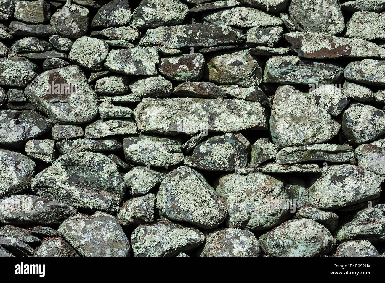 Rustico parete fieldstone dettaglio, Rhode Island, Stati Uniti d'America. Foto Stock