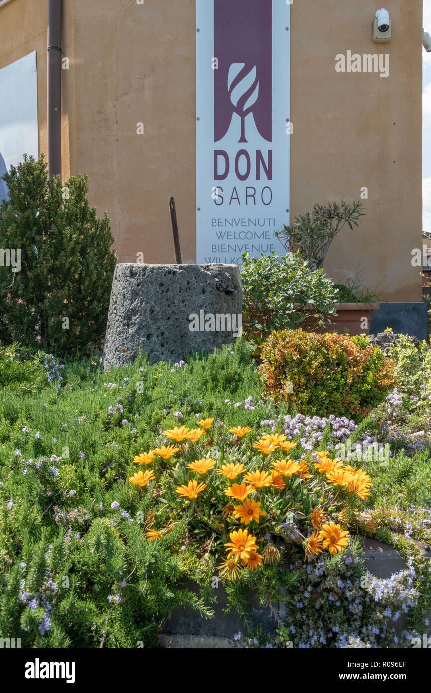 Degustazione di vino Vigna, Etna, Sicilia Foto Stock