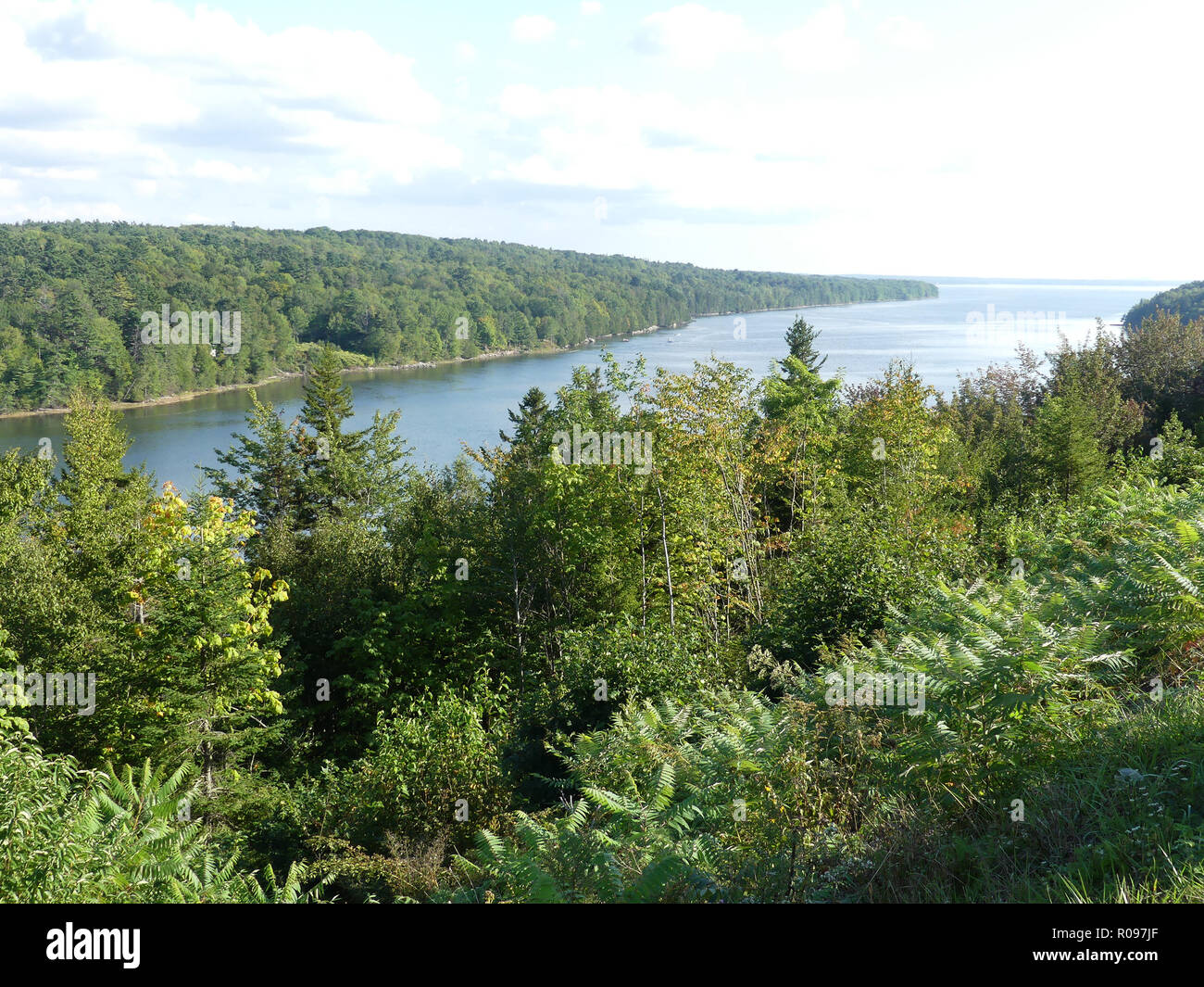 PENOBSCOT River vicino a Fort Knox, New Hampshire, Stati Uniti d'America. Foto: Tony Gale Foto Stock