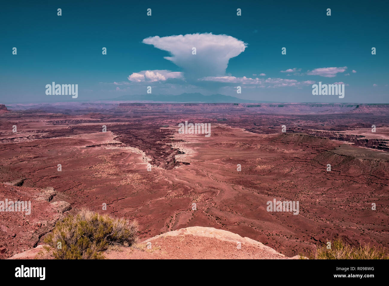 Canyonlands in Utah Foto Stock