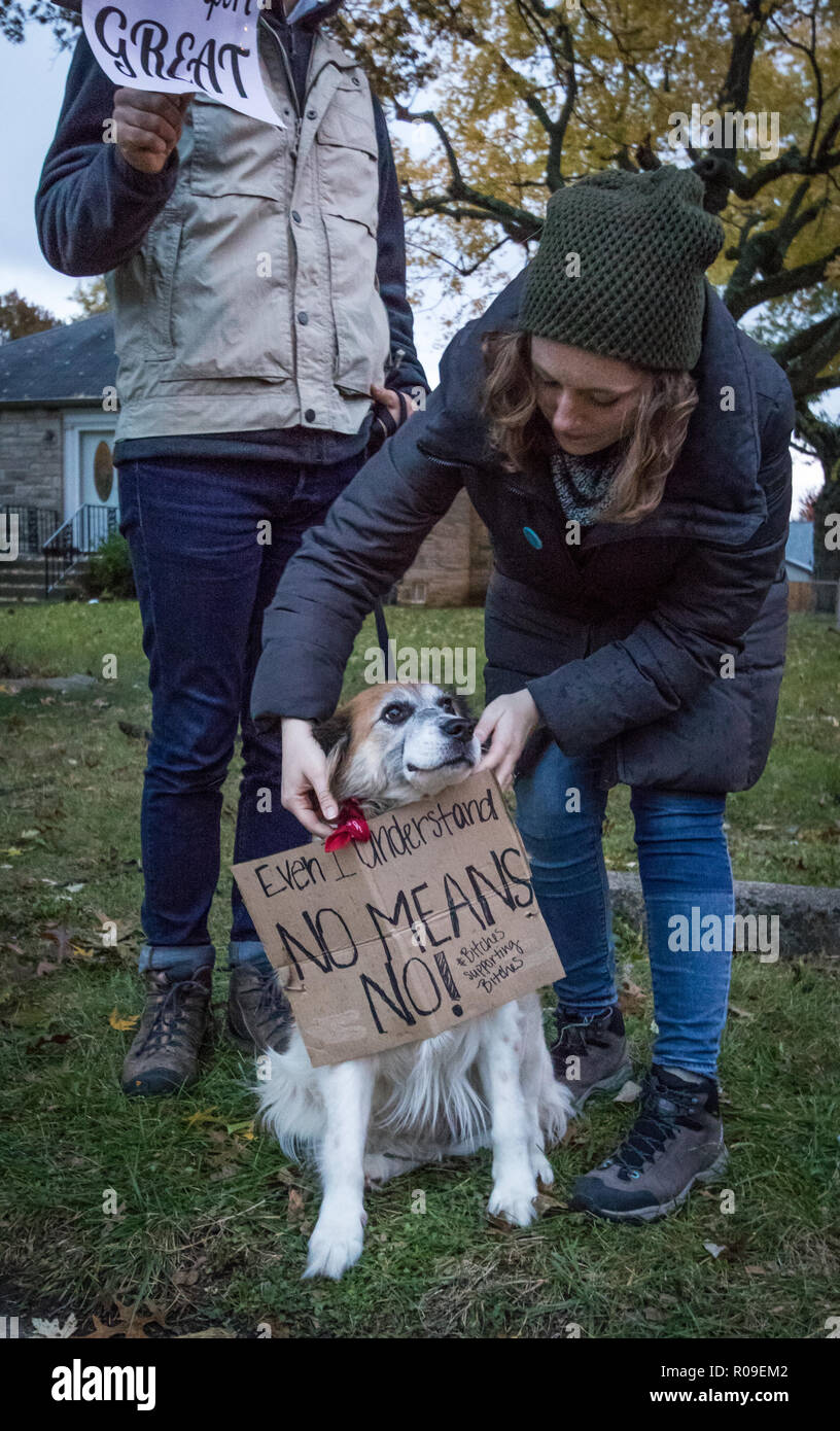 Indianapolis, Stati Uniti d'America. 2 nov. 2018. I dimostranti al Trump rally per il repubblicano candidato senatoriale Mike Braun a Southport Fieldhouse, Indianapolis, Stati Uniti d'America. Credito: James Cocherell/Alamy Live News. Foto Stock