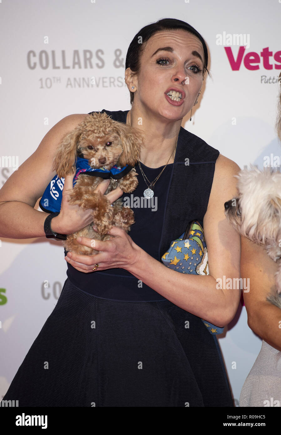 1 novembre 2018 - Londra, Regno Unito - Amanda Abbington assiste il Battersea cani e gatti collari Home & cappotti ballo di gala 2018 a Battersea Evolution. (Credito Immagine: © Gary Mitchell/SOPA immagini via ZUMA filo) Foto Stock