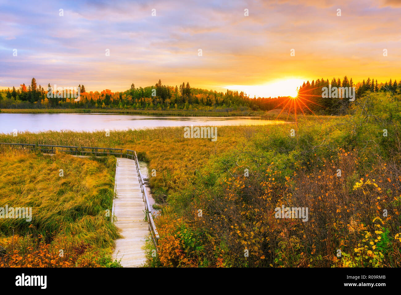 In autunno il tramonto Ominik Marsh Boardwalk Trail, Equitazione Mountain National Park, Manitoba, Canada. Foto Stock