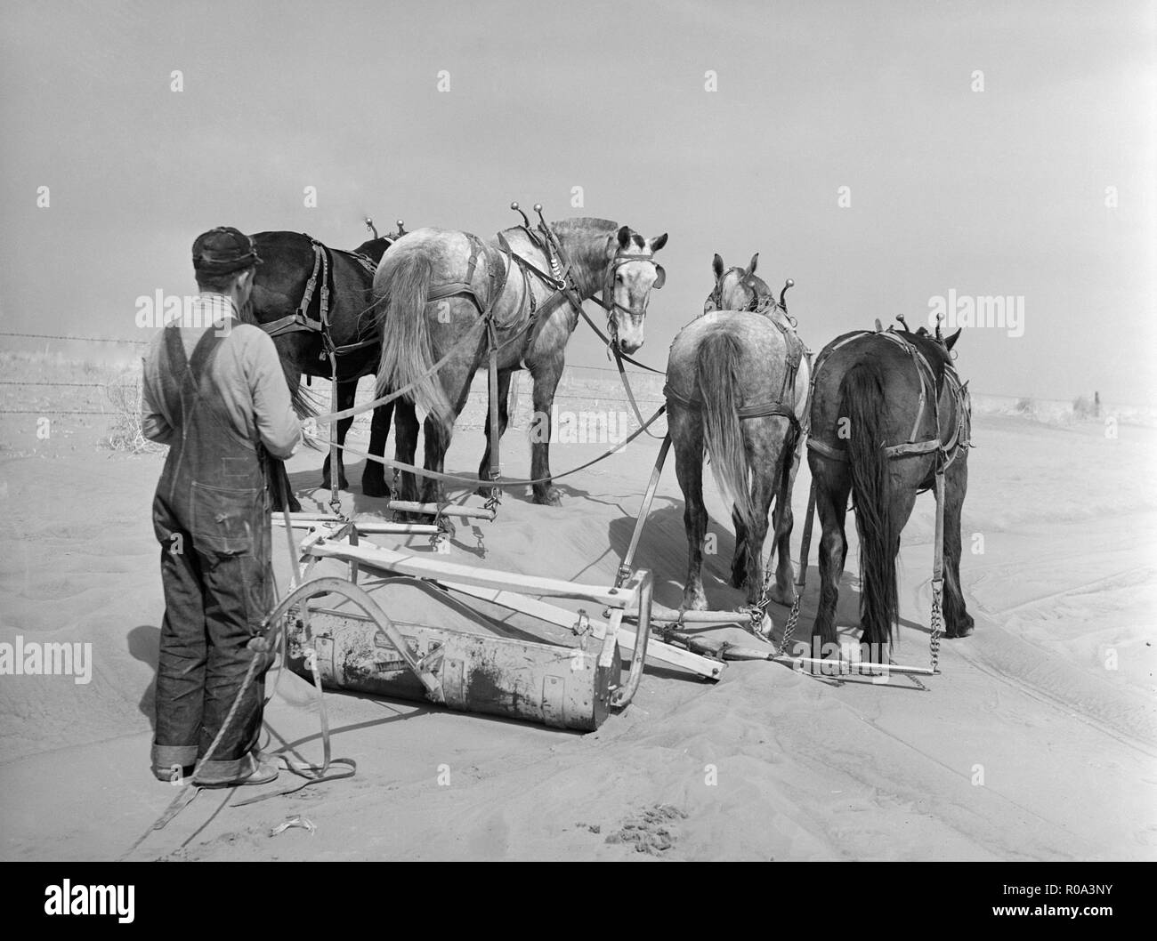 Rimozione derive del suolo Blockingq autostrada vicino Guymon, Oklahoma, Stati Uniti d'America, Arthur Rothstein, Farm Security Administration, Marzo 1936 Foto Stock