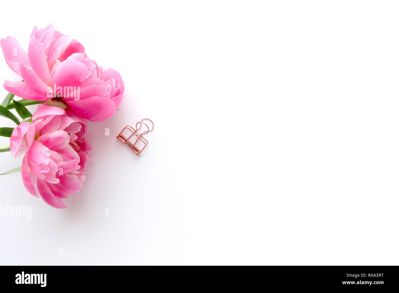 Femminile, foto in stile con il rosa peonie. Flatlay. Per i blogger e le imprese creative. Con uno spazio bianco per il testo o per prodotto. Foto Stock