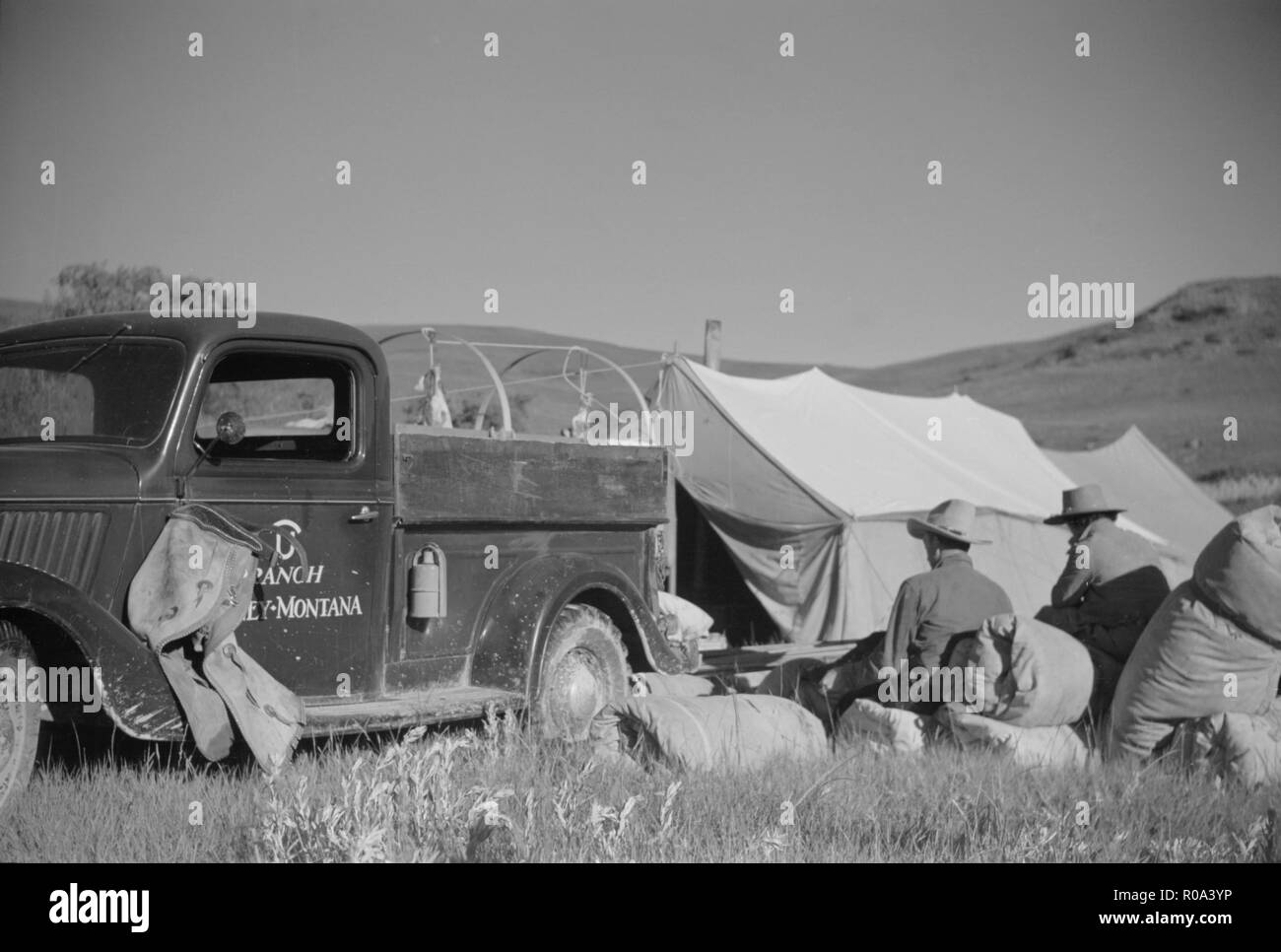 Impostazione del Roundup Camp, quarto di cerchio U Ranch Roundup, Montana, USA, Arthur Rothstein, Farm Security Administration, Giugno 1939 Foto Stock