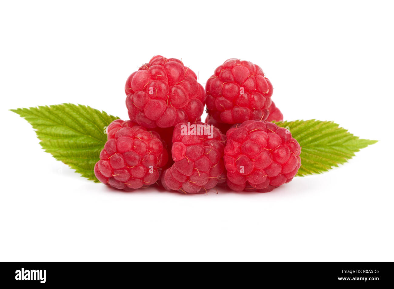 I lamponi con foglie isolate su un bianco Foto Stock