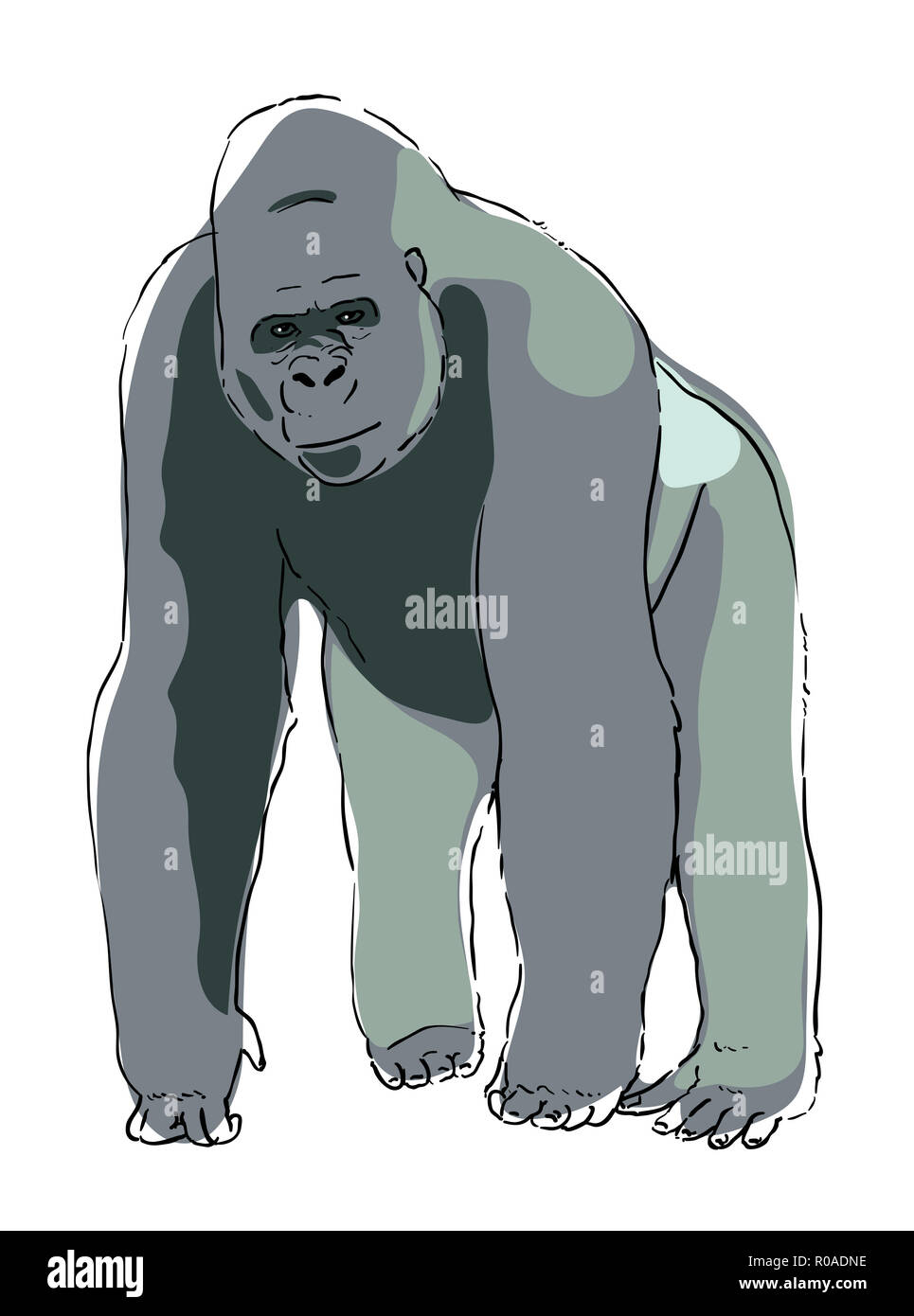 Schizzo digitale di un gorilla Foto Stock