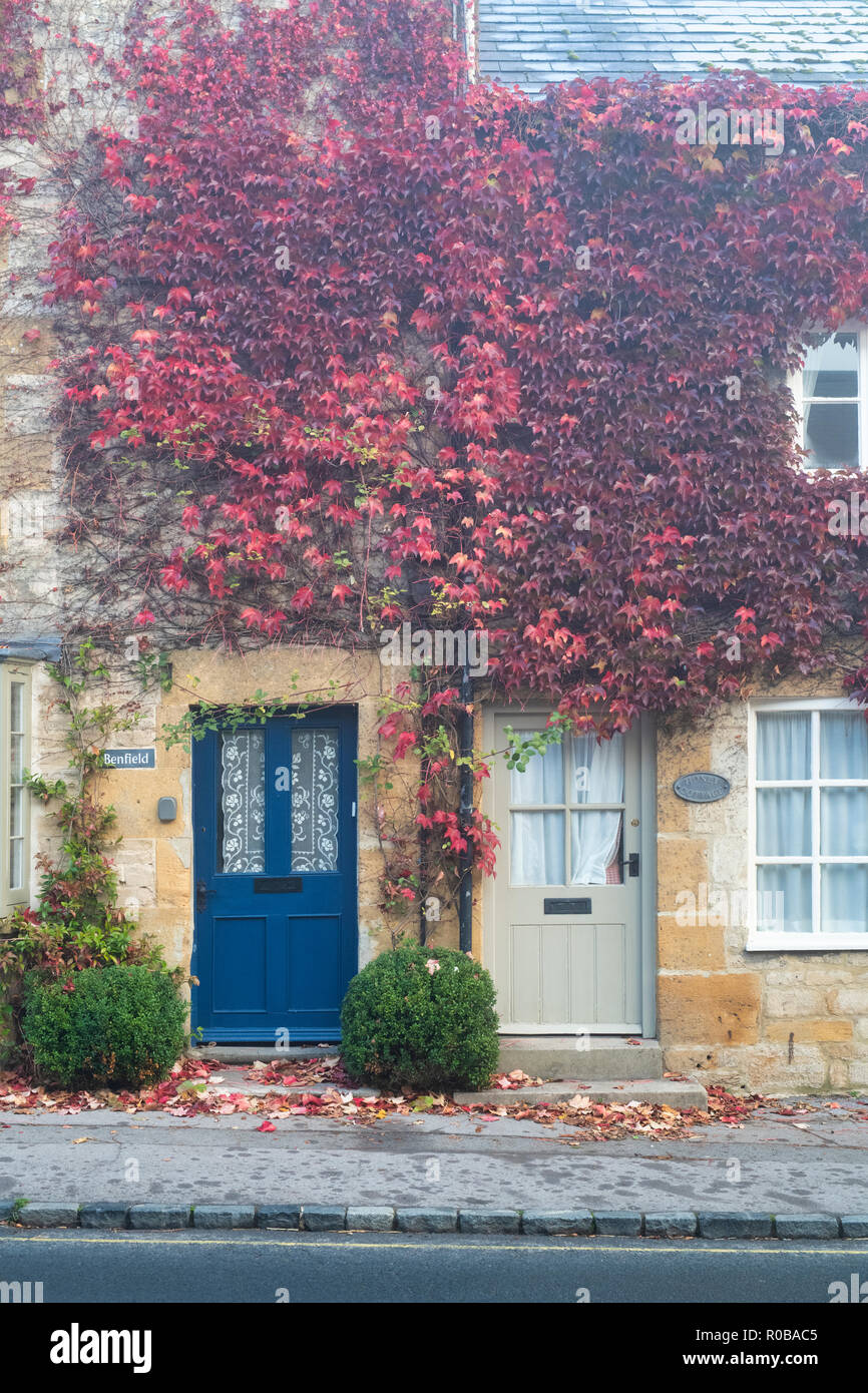 Sheep Street cottage coperto di edera Boston nel primo mattino nebbia autunnale, Stow on the Wold, Gloucestershire, Cotswolds, Inghilterra Foto Stock