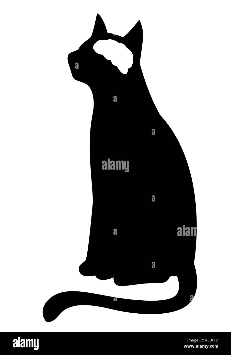 Illustrazione di una silhouette di un gatto con il suo cervello in bianco Foto Stock
