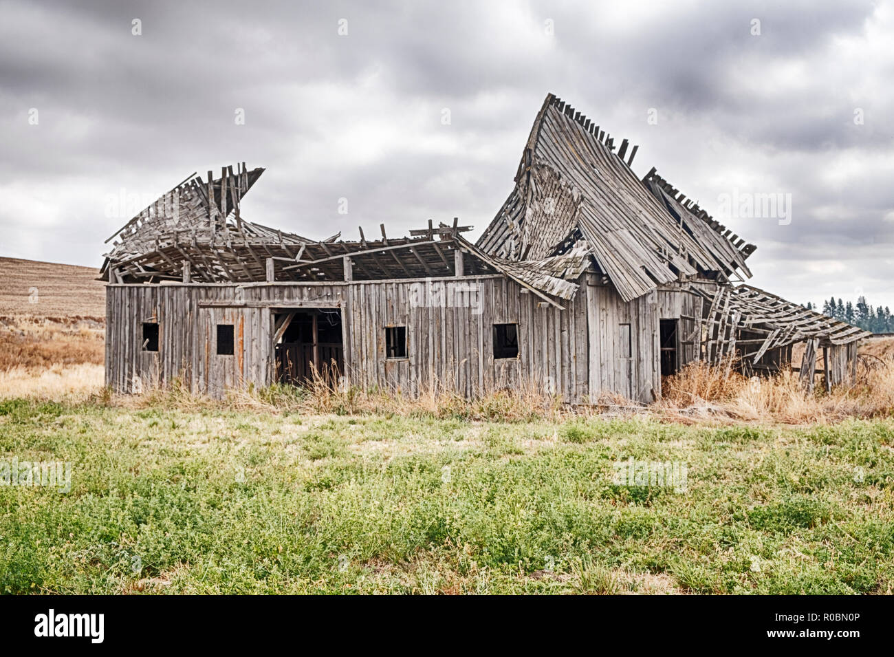 Il tetto di un vecchio fienile in una fattoria vicino alla città di Oakesdale, Washington sta crollando in se stessa. Foto Stock