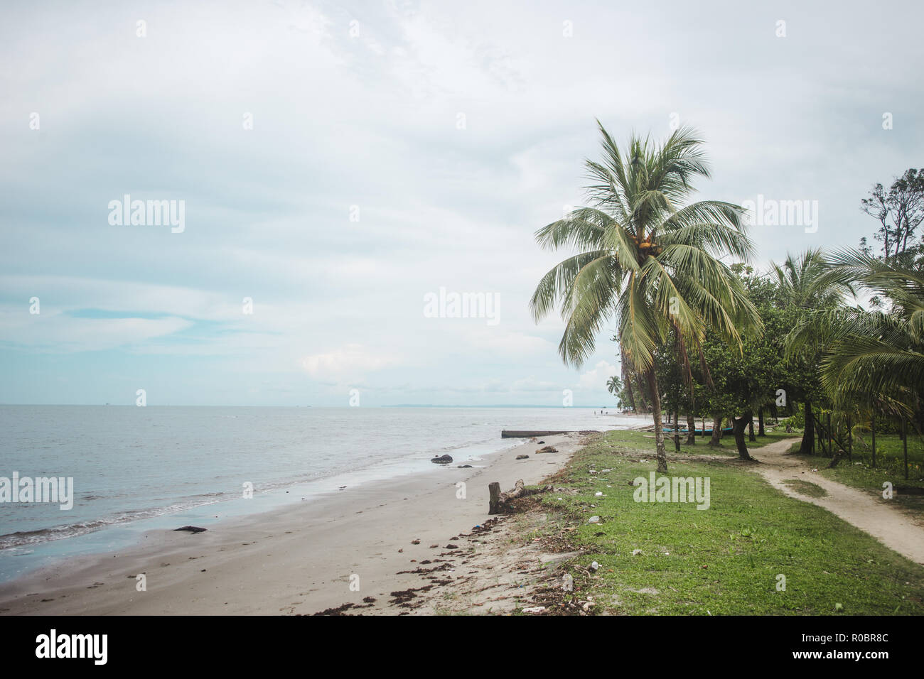 Palme su una sabbia bianca spiaggia paradiso su un Nuvoloso Giorno di Livingston, est Guatemala Foto Stock