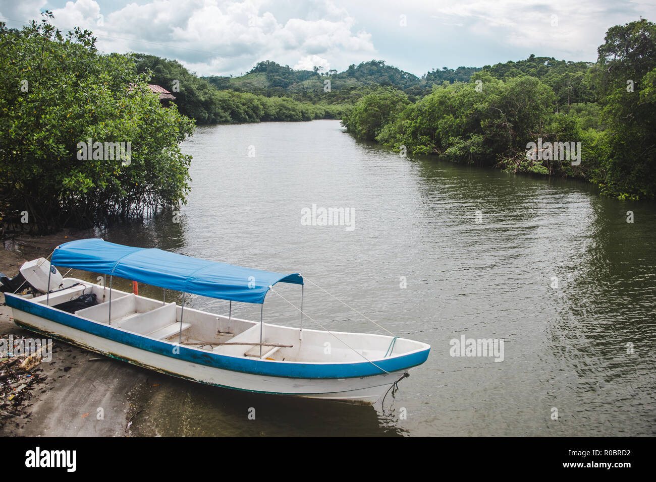 Blu e bianco motorizzato in barca sul fiume sui lussureggianti rive del Pacifico fiume Quehueche in Lívingston, est Guatemala Foto Stock