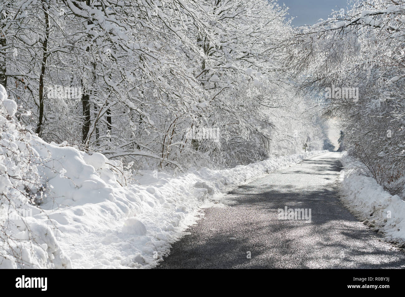 Paesaggio delle Ardenne mountain range in inverno, country road e neve Foto Stock