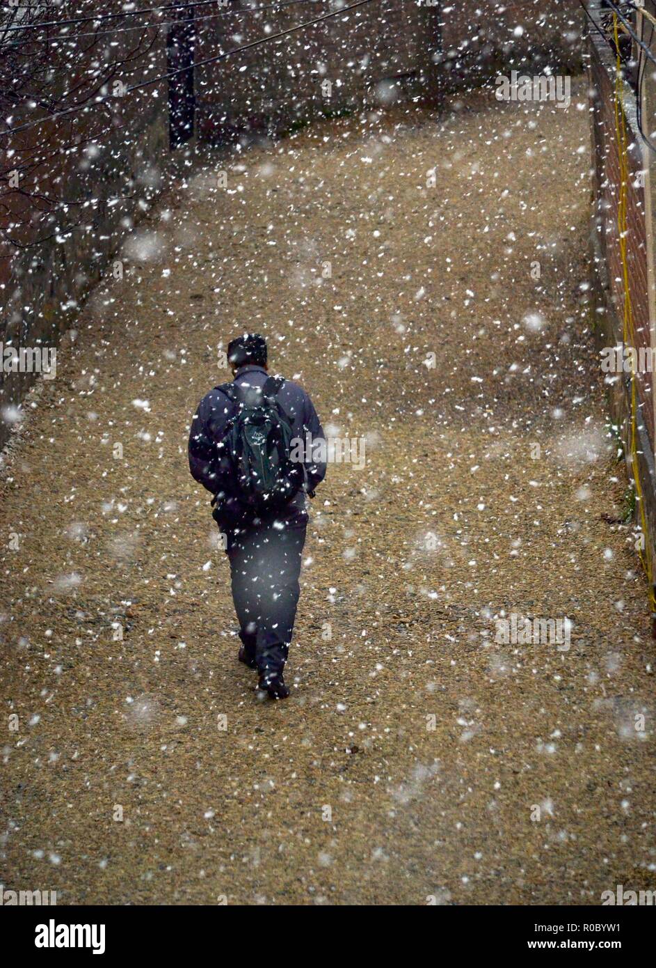 Un uomo del Kashmir passeggiate durante le stagioni prima nevicata a Srinagar, Indiano Kashmir amministrato. Diritto all'avvento dell'inverno, Kashmir valley ha ricevuto la sua prima nevicata come ondata di freddo come le condizioni afferrata la valle a causa di continue acquazzone. Tutte le stazioni meteorologiche attraverso la valle venerdì assistito ad un calo di circa 10 gradi Celsius dalle normali temperature di giorno per questo periodo dell'anno. Foto Stock
