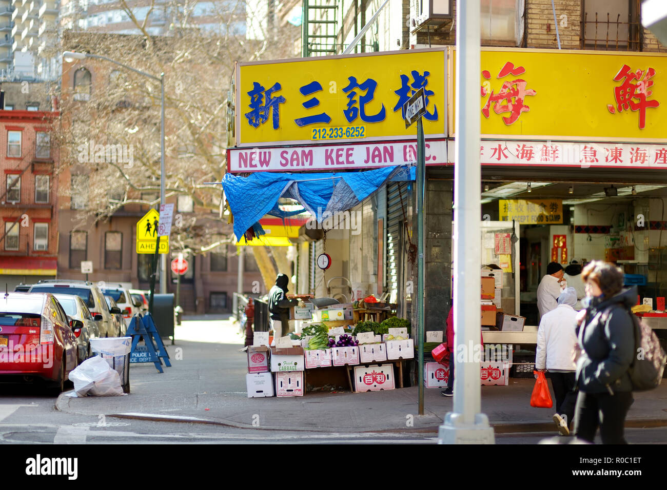 NEW YORK - MARZO 21, 2015: Cinese store nel quartiere Chinatown di New York City, uno dei più antichi Chinatowns al di fuori dell'Asia. Foto Stock