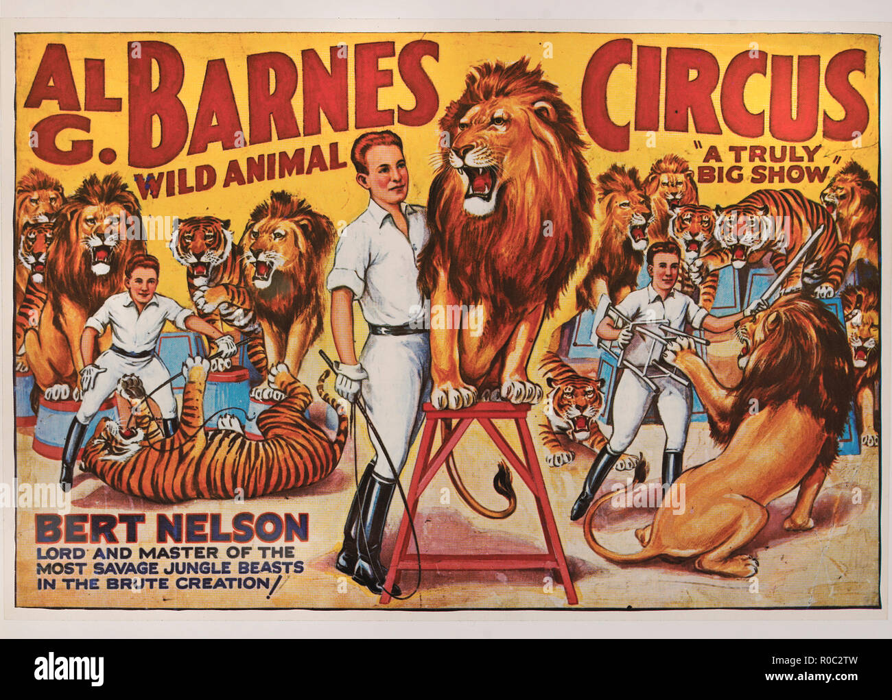 Al G. Barnes Wild Animal Circus, Bert Nelson signore e padrone delle più selvagge bestie della giungla nella creazione bruta!, poster di circo, litografia, 1930 Foto Stock