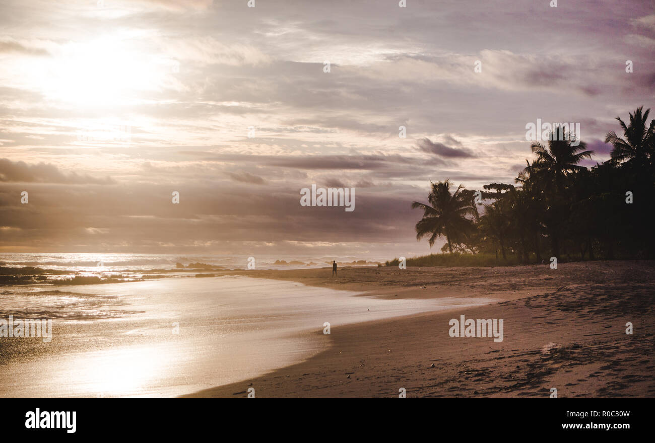 Giovane uomo backpacker cammina da sola lungo il paradiso di sabbia spiaggia di Playa del Carmen, Santa Teresa Costa Rica durante un tramonto colorato Foto Stock
