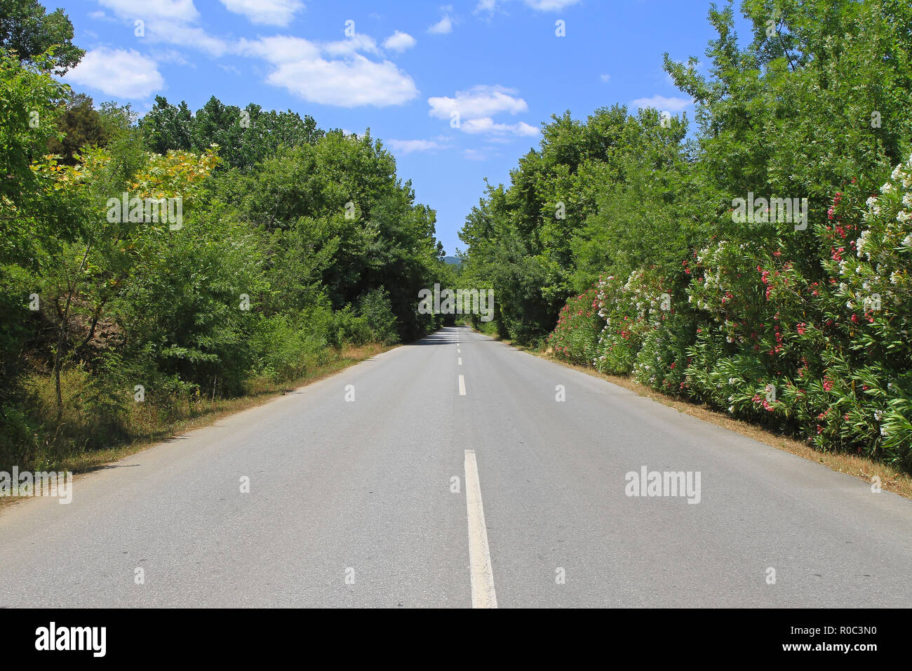 Due corsie di marcia dritta strada rurale attraverso la vegetazione Foto Stock