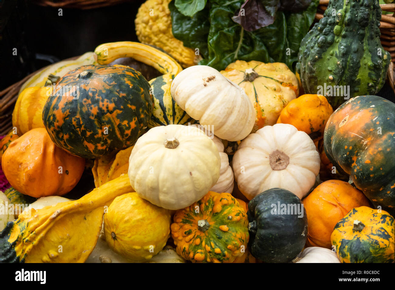 Zucche in London Borough Market Foto Stock