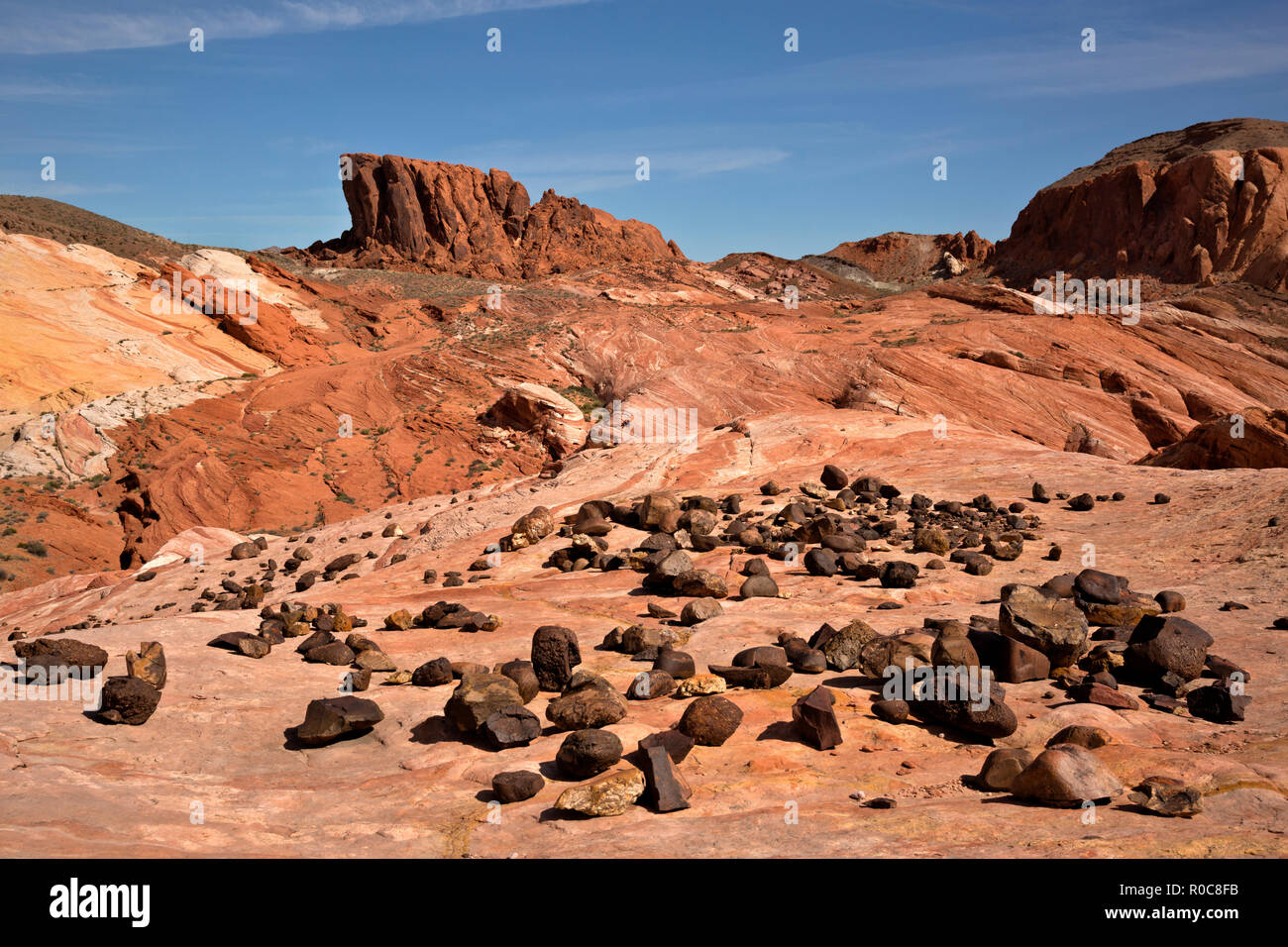 NV00106-00...NEVADA - arrotondato e weathered rocks trovati sulla cresta di una pinna di arenaria in il Parco della Valle di Fire State sezione del Mojave Desert. Foto Stock