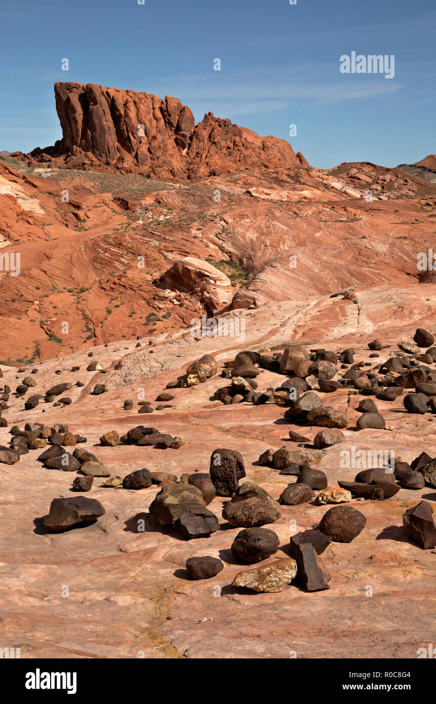 NV00107-00...NEVADA - arrotondato e weathered rocks trovati sulla cresta di una pinna di arenaria in il Parco della Valle di Fire State sezione del Mojave Desert. Foto Stock