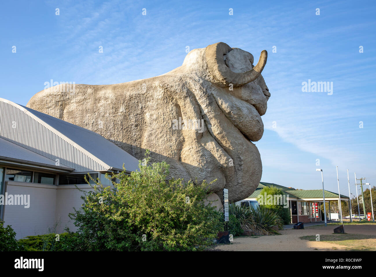 Big Merino struttura in calcestruzzo per l'industria della lana in Goulburn, Nuovo Galles del Sud, Australia Foto Stock