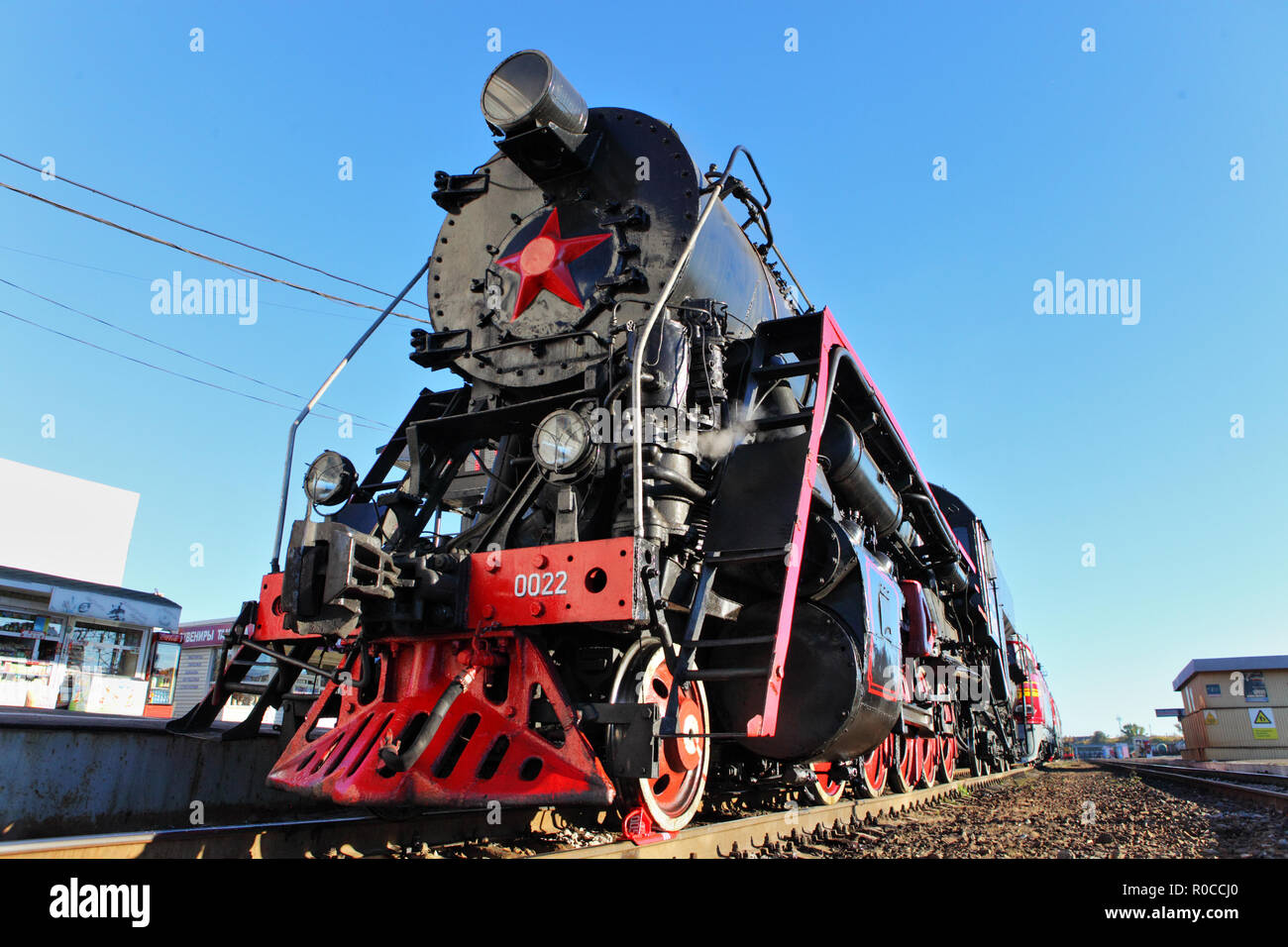 Puro Cavallo Spagnolo o PRE, ritratto contro uno sfondo chiaro Foto Stock