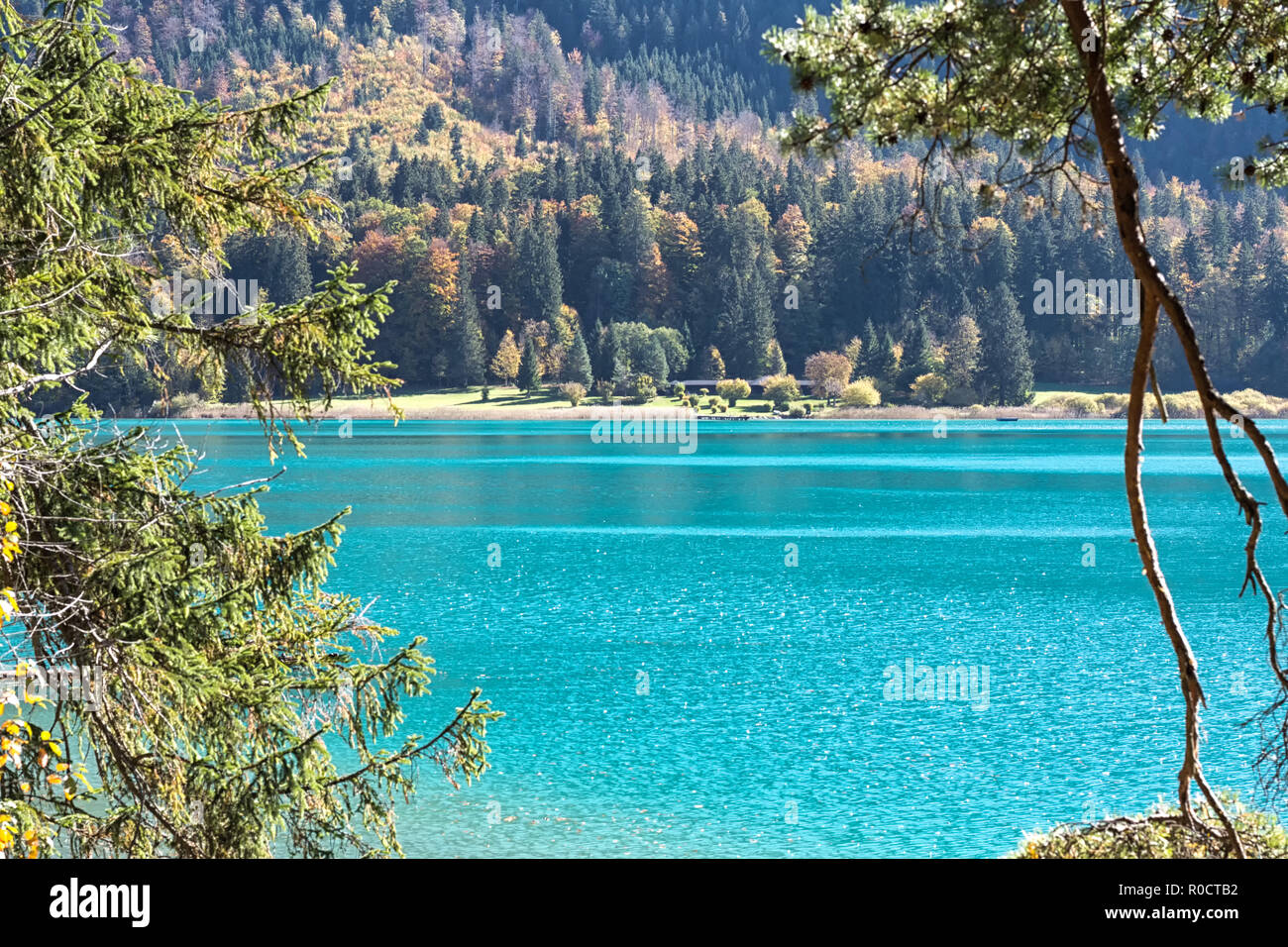 Vista sul lago color turchese "Alpsee" e sull'Alpseebad da un sentiero intorno al lago in autunno. Schwangau, Füssen, Baviera, Germania Foto Stock