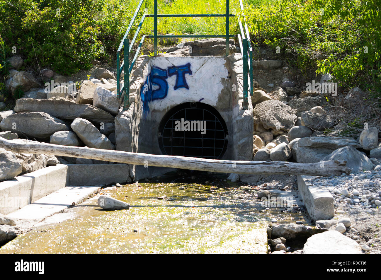 Da mozzare il fiato le scene in Alberta selvatica Foto Stock