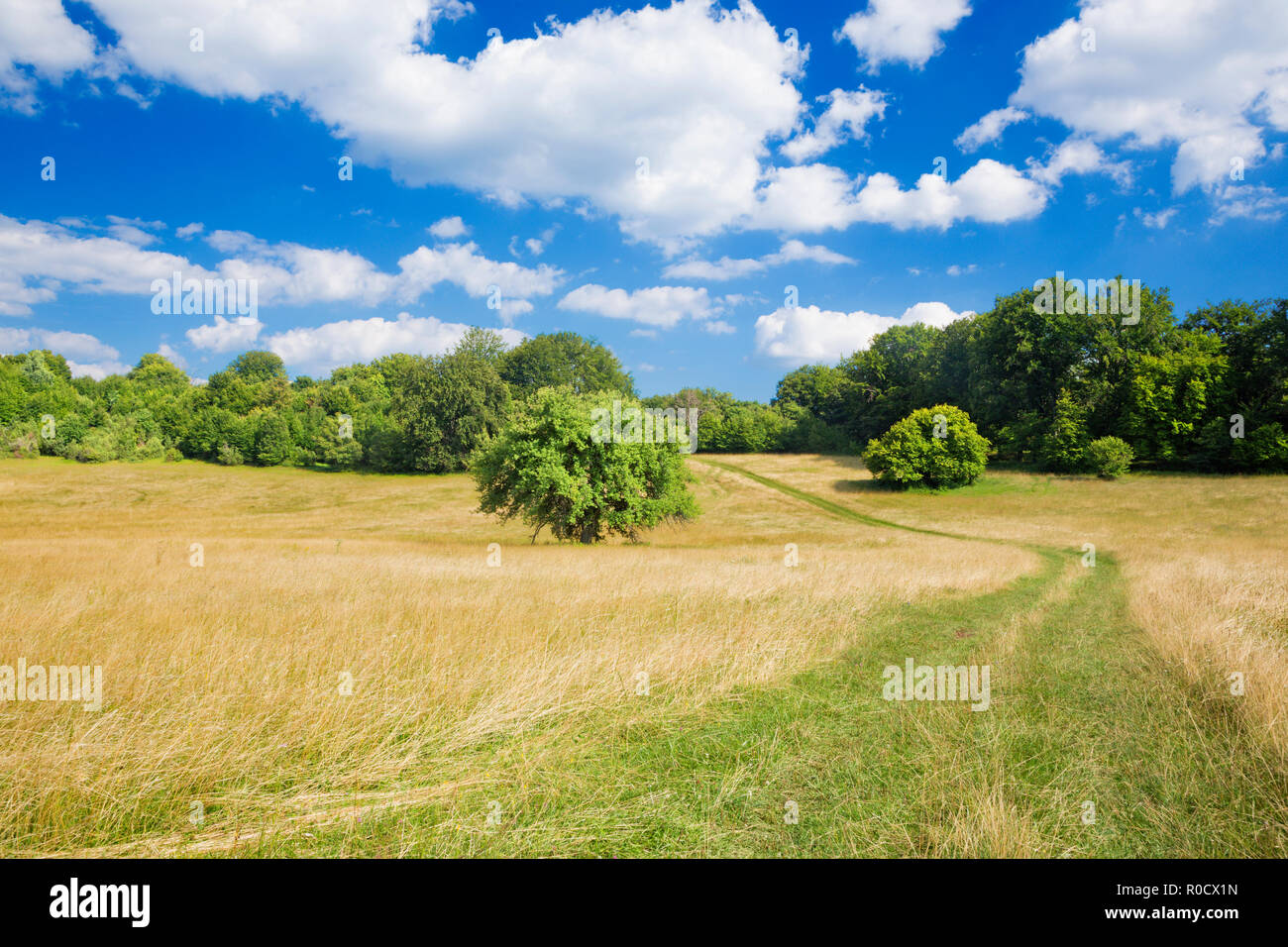 Slovacchia - Il paesaggio di Plesivecka planina nel parco nazionale Slovensky Kras. Foto Stock