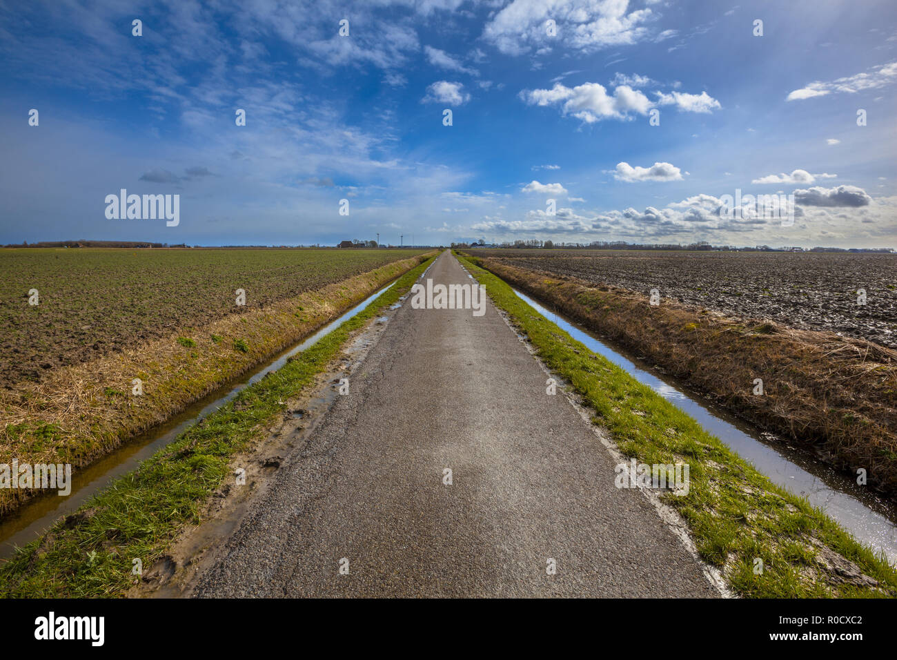 Infinite dritta strada paese all'orizzonte sotto un cielo blu come un concetto per la futura carriera. Foto Stock