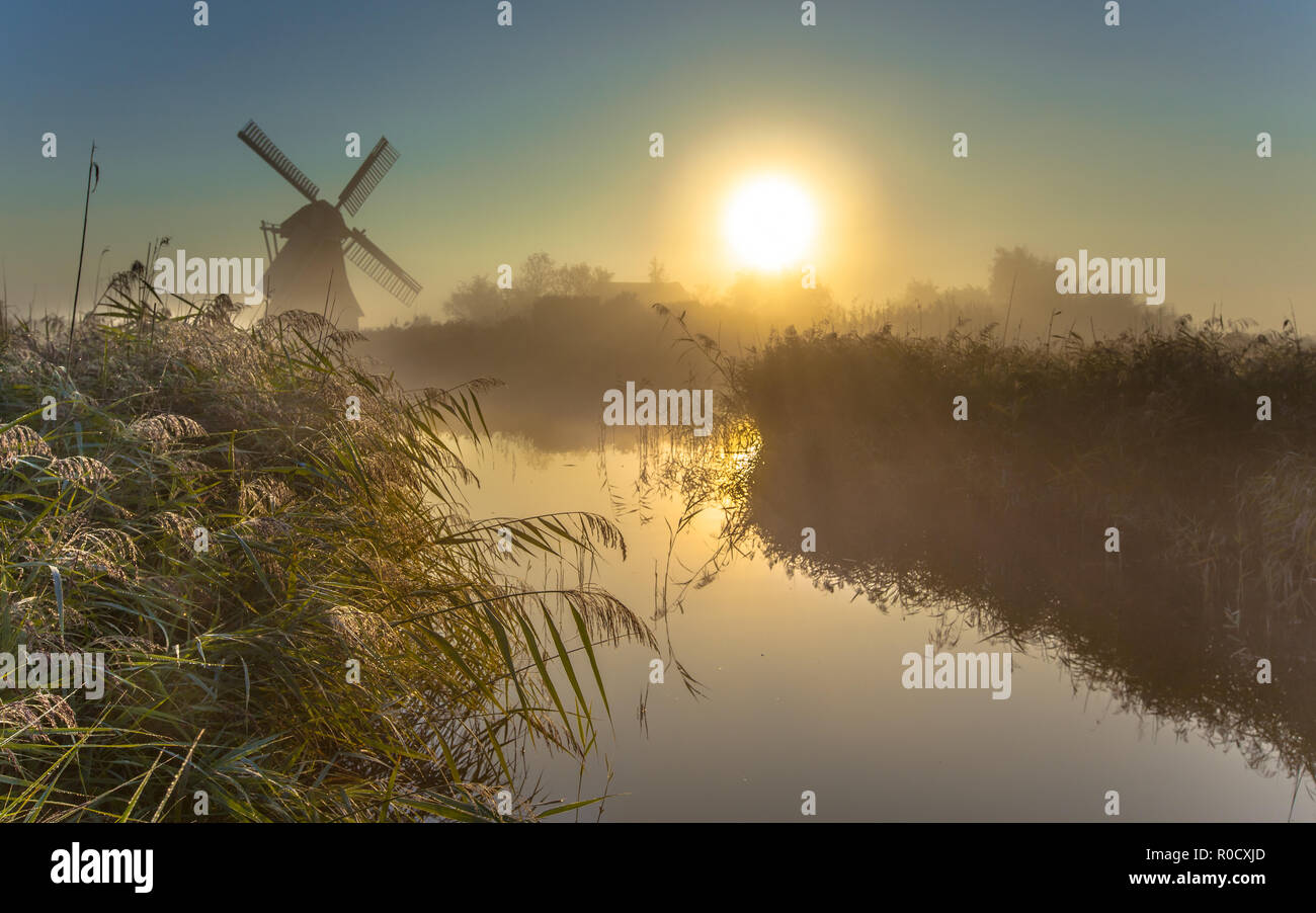 Tradizionale Mulino a vento olandese in una palude di rugiadoso area su una mattinata nebbiosa nel mese di settembre Foto Stock