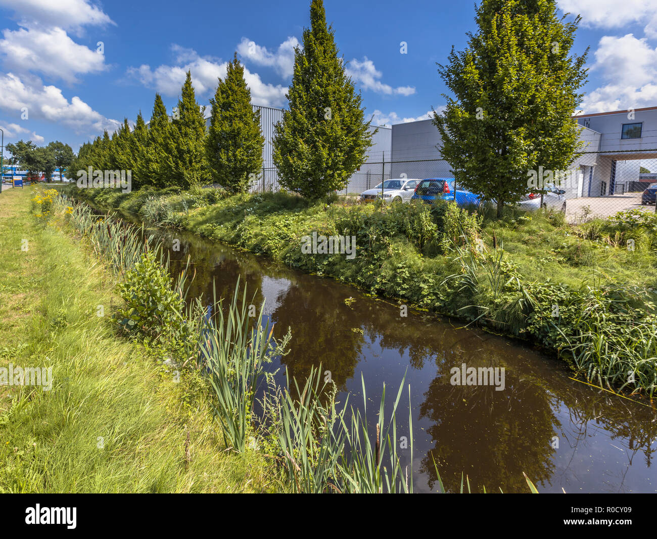 Eccessivo scarico acqua piovana canale di drenaggio in un olandese area industriale a Soest, Paesi Bassi Foto Stock