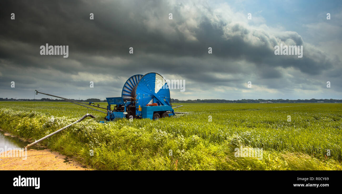 Bobina di irrigazione a lavorare in un campo di mais op nei Paesi Bassi, Europa Foto Stock