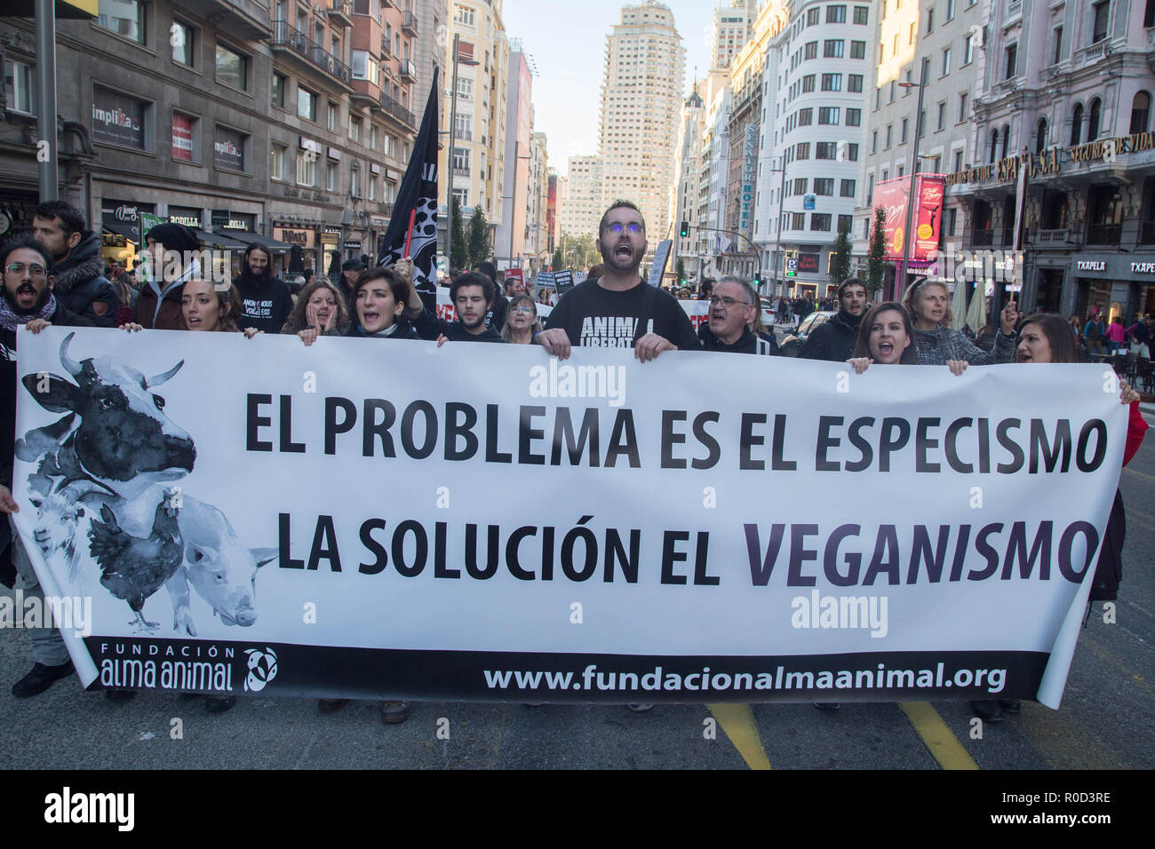Madrid, Spagna. 3 Novembre, 2018. I dimostranti sono visti tenendo un banner scritto su ''Il problema è "specismo", la soluzione è il veganismo''durante la protesta.centinaia di attivisti e di alcuni cittadini hanno protestato contro la violazione dei diritti degli animali e una conversione della società verso il veganismo di rispettarli e di proteggerli con lo slogan " il rispetto e la libertà per gli animali. Credito: Lito Lizana/SOPA Immagini/ZUMA filo/Alamy Live News Foto Stock