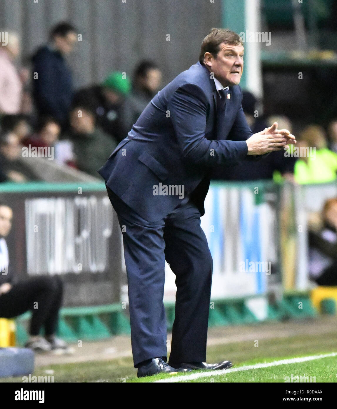 Edimburgo, Scozia, Regno Unito. 3 Novembre, 2018. Scottish Premiership - Hibernian v St Johnstone, Edimburgo, Midlothian, Regno Unito. 03,11, 2018. Pic mostra: St Johnstone manager, Tommy Wright, grida istruzioni dal perimetro come Hibs ospitano St Johnstone a Easter Road Stadium, Edimburgo Credito: Ian Jacobs/Alamy Live News Foto Stock