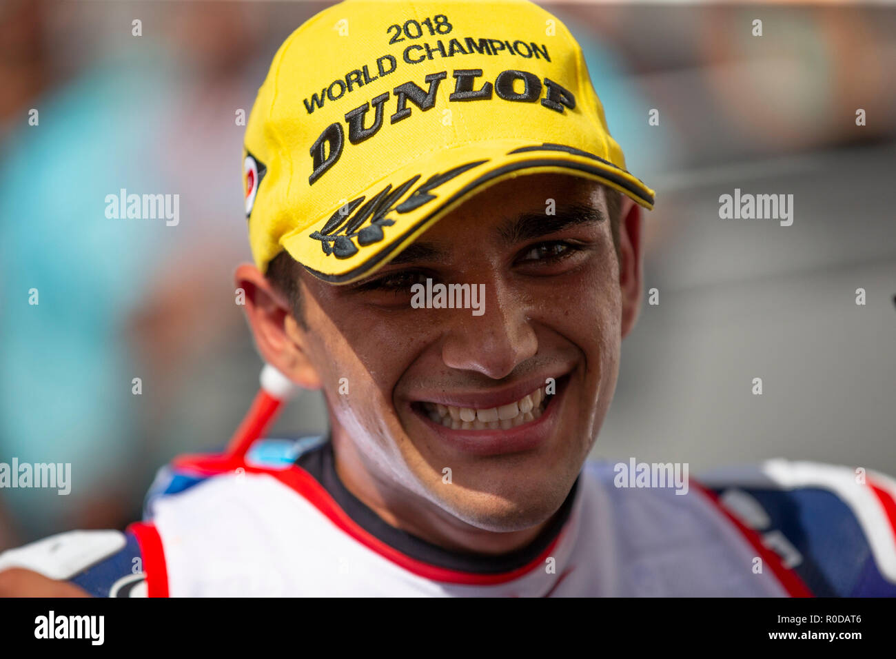 Sepang International Circuit di Sepang, in Malesia. 4 Novembre, 2018. MotoGP della Malesia, il giorno della gara; del Conca GRESINI Moto4 pilota Jorge Martin vince la Moto3 in gara per diventare moto3 campione del mondo Credito: Azione Sport Plus/Alamy Live News Foto Stock