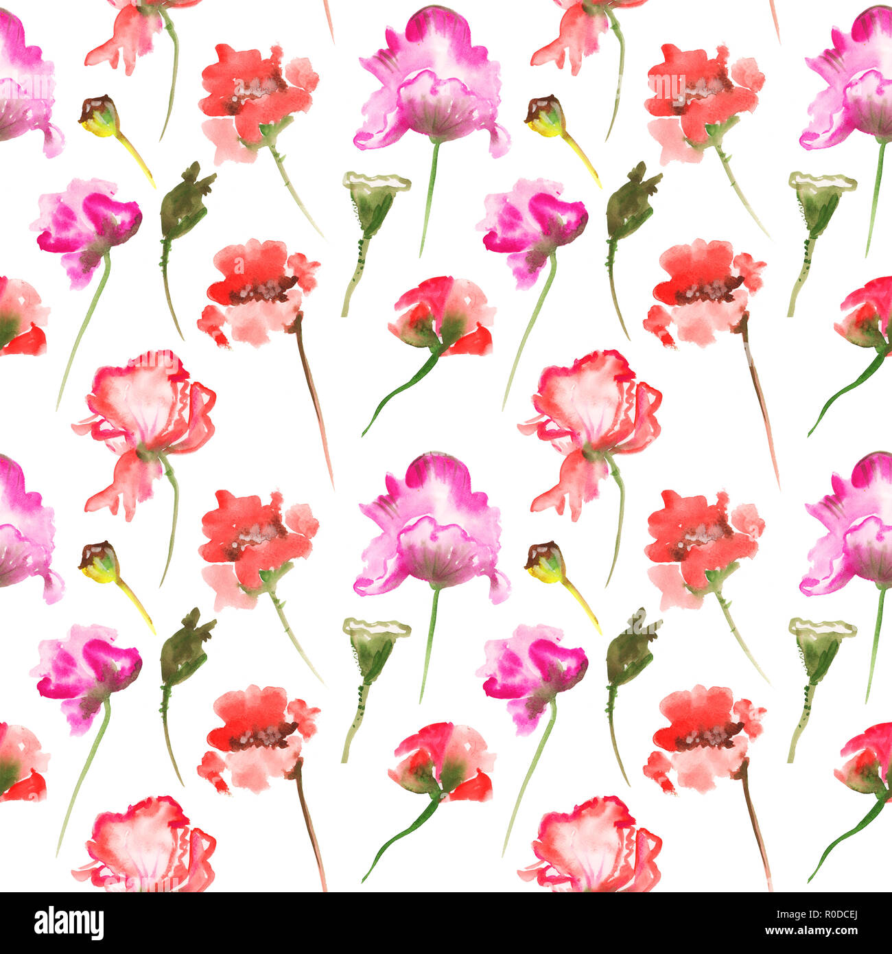 Il Pattern raster di acquerelli di illustrazione di papavero e Peonia fiori sugli sfondi Foto Stock