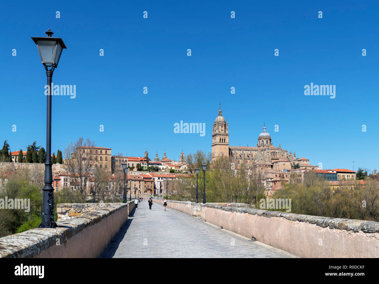 Vista verso la città vecchia e le cattedrali dal Puente Romano (Ponte Romano), Salamanca, Castilla y Leon, Spagna Foto Stock