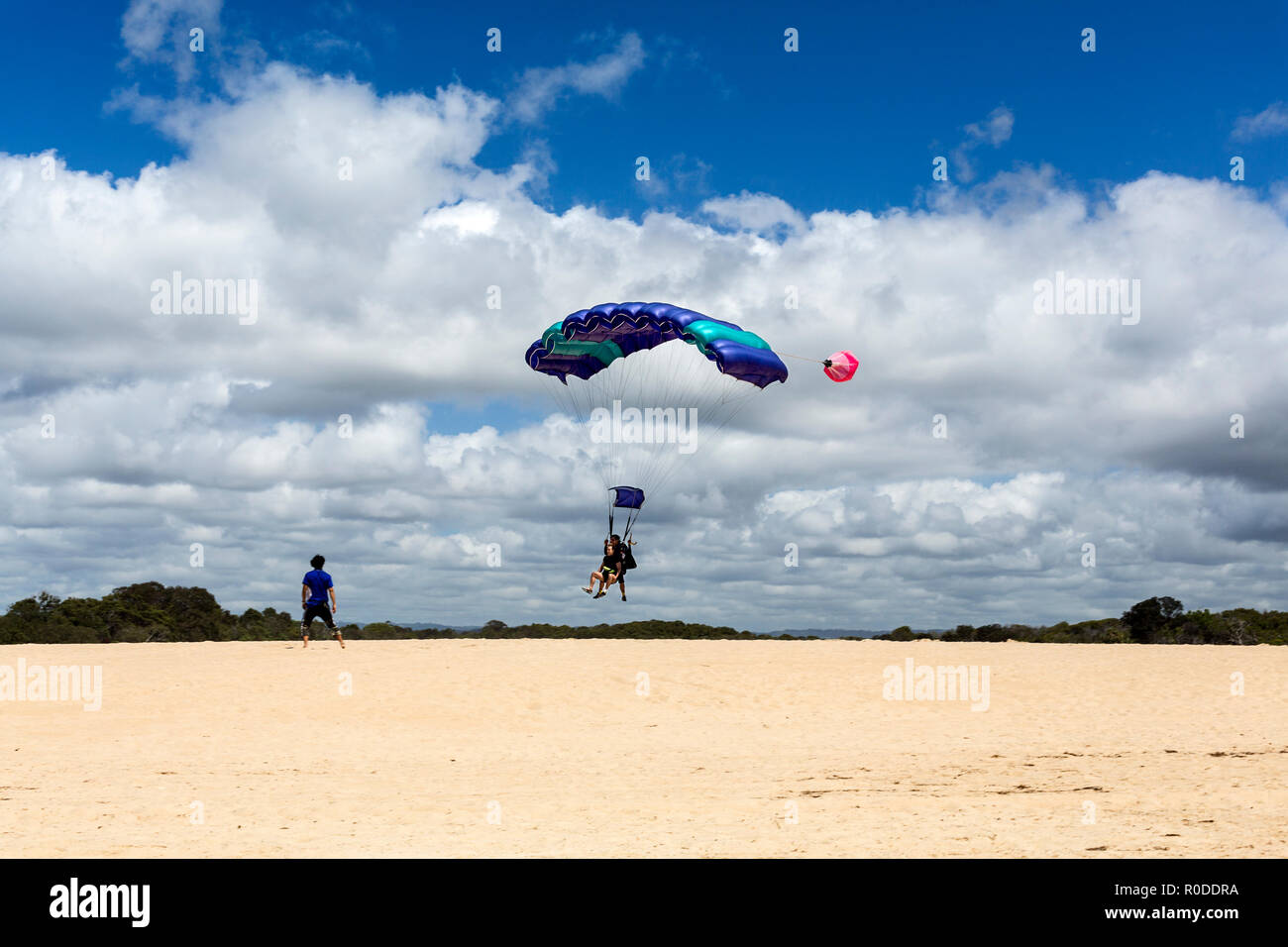 Skydive in Tandem è il fantastico rush di esaltante freefall dopo saltando fuori da un piano di terra sulla spiaggia, nel Queensland, Australia Foto Stock