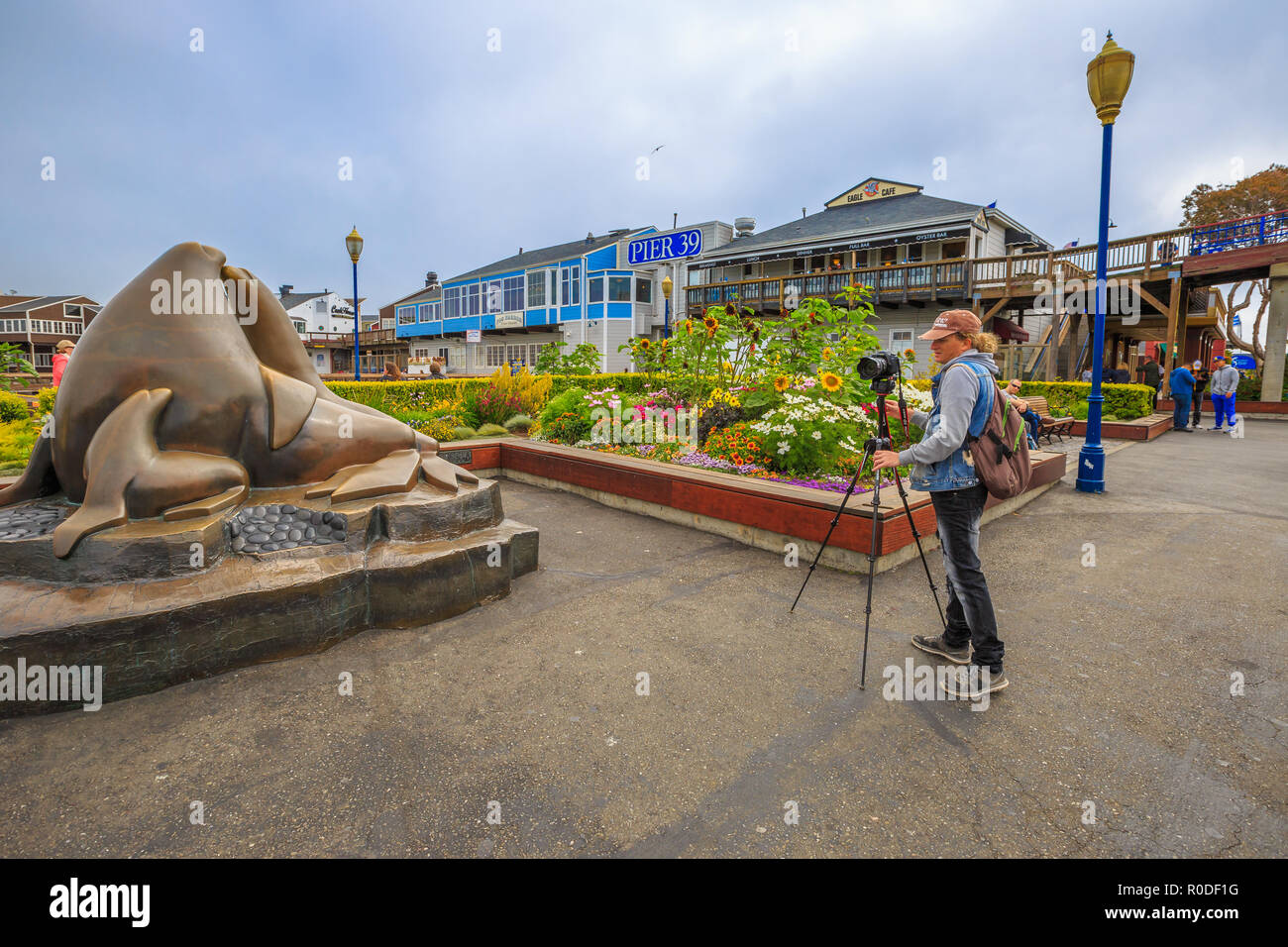 San Francisco, California, Stati Uniti - Agosto 14, 2016: fotografo a scattare foto dei leoni di mare statua al Pontile del Pescatore al Molo 39 lungo l'Embarcadero. Foto Stock