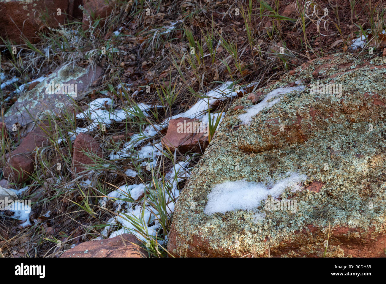 Immagine della terra in un giorno di caduta durante le escursioni a Beaver Creek in Colorado Foto Stock