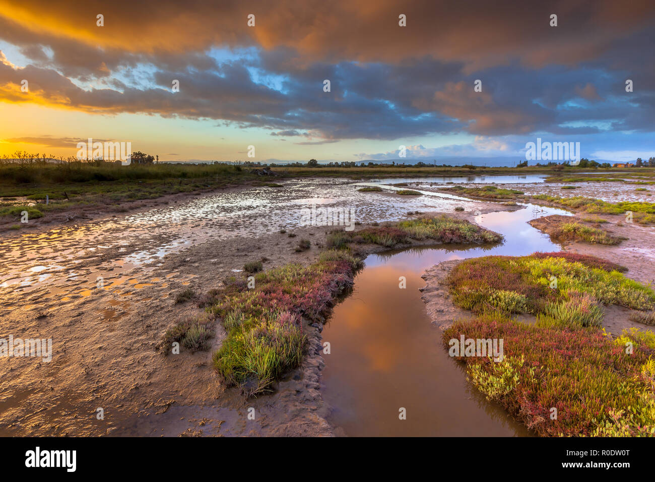 Sunrise oltre la tolleranza al sale di vegetazione palustre su un estuario vicino a SKALA KALLONIS su Lesbo Island, Grecia Foto Stock