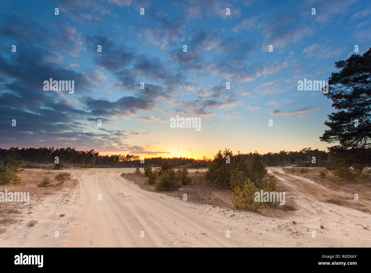 Tramonto sulla sabbia deriva Riserva naturale utilizzata come formazione militare di terra vicino Kootwijk, Paesi Bassi Foto Stock