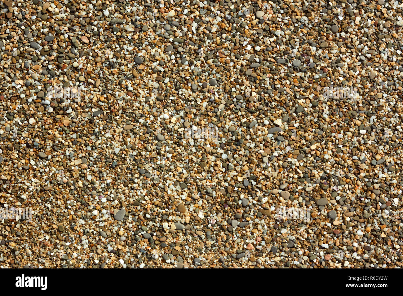 Frammento della spiaggia di ghiaia con piccoli ciottoli colorati, Pietre e conchiglie dettaglio close-up in condizioni di luce solare intensa Foto Stock