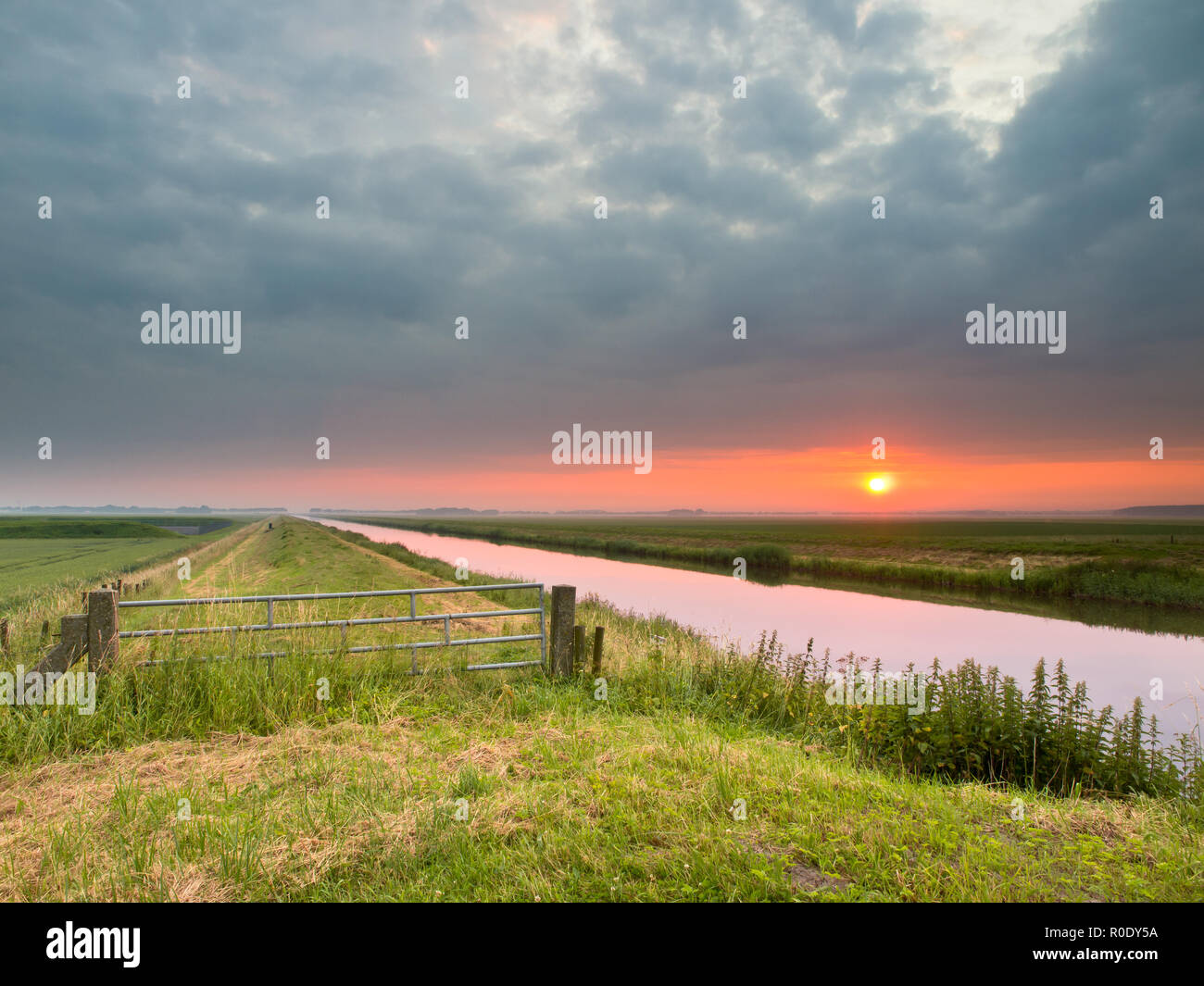 Sunrise oltre l'orizzonte in zona agricola con Canal e cancello in Paesi Bassi Foto Stock