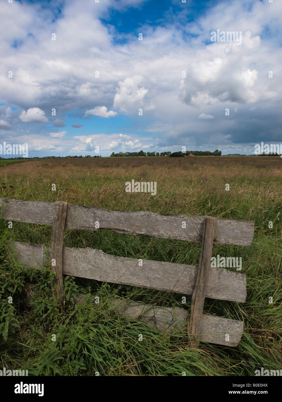 Recinzione in olandese agricola area protetta Foto Stock