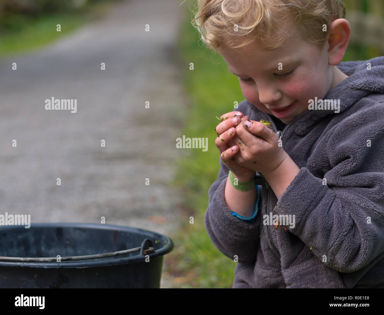 Een peuter bekijkt een groene kikker die hij heeft gevangen Foto Stock